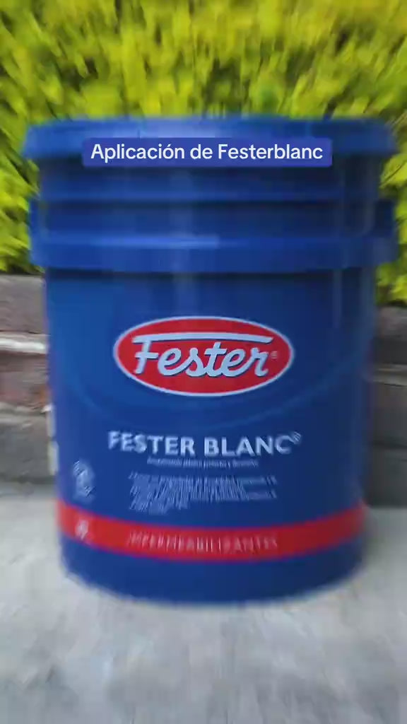festerblanc-verde-tenis