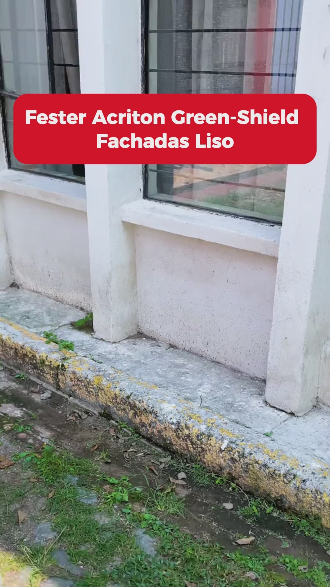 IMPERMEABILIZANTE FESTER ACRITON GREEN-SHIELD FACHADAS LISO 19 L